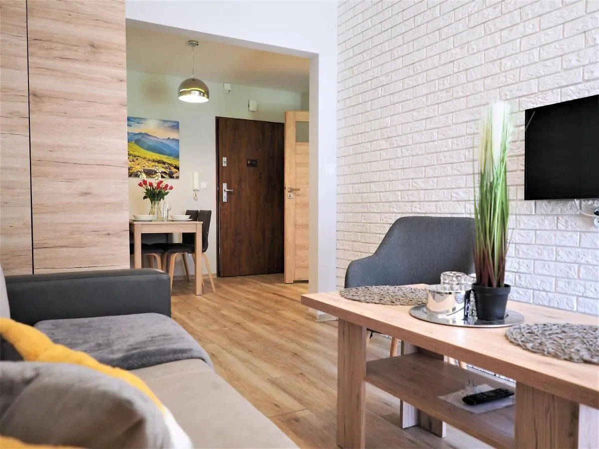 Vip Apartamenty Centrum 扎科帕内 波兰