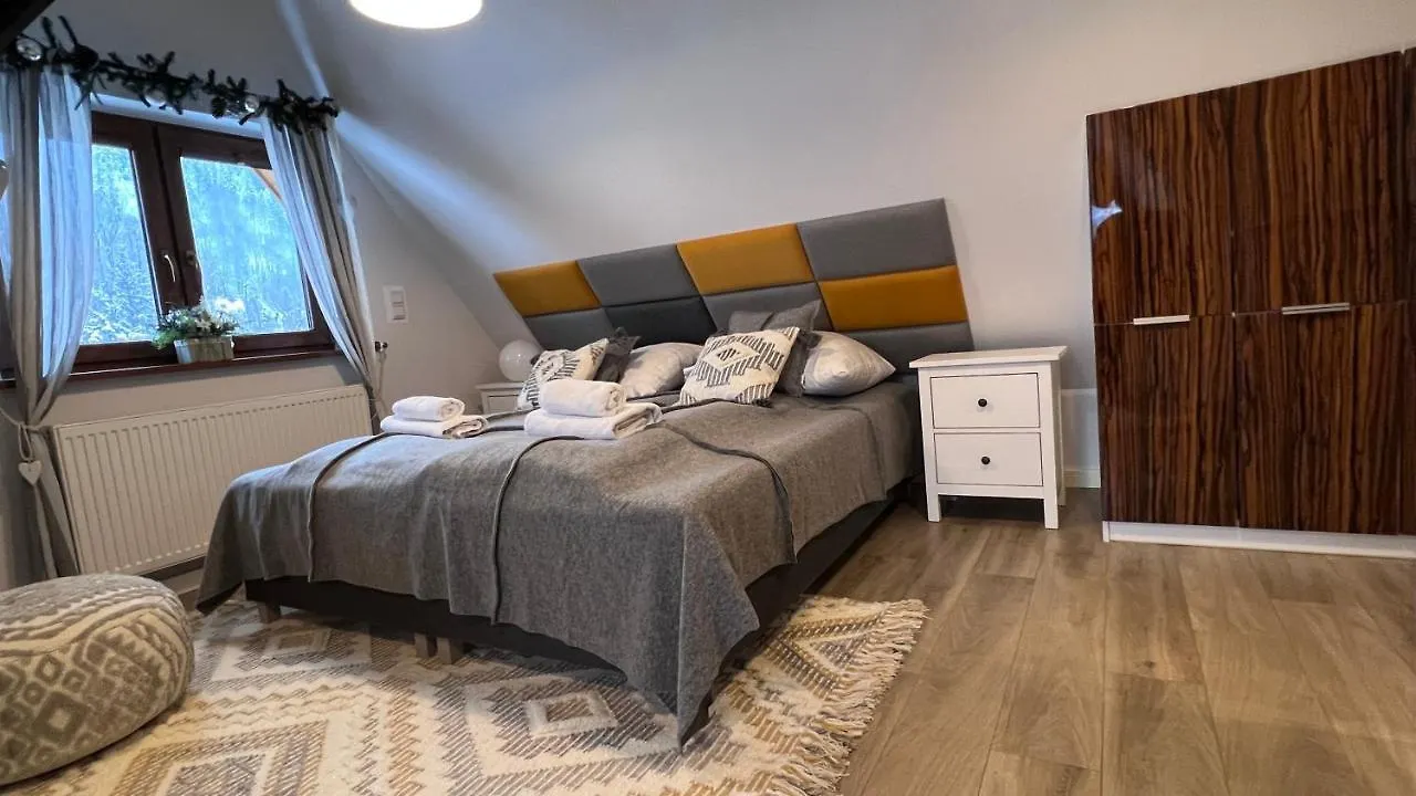 Vip Apartamenty Centrum 扎科帕内 0*,  波兰