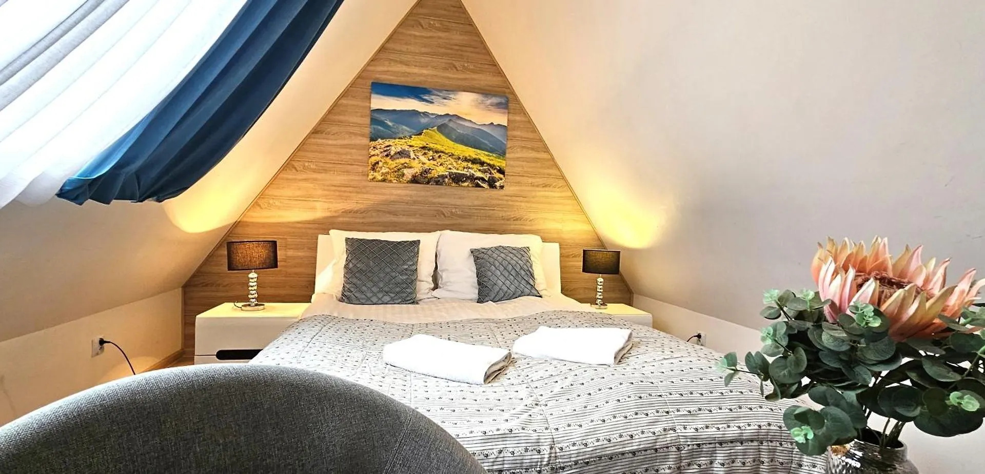 公寓 Vip Apartamenty Centrum 扎科帕内