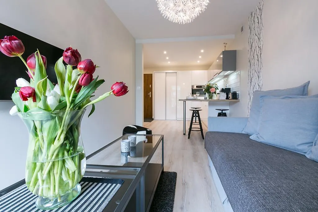 Vip Apartamenty Centrum 扎科帕内 公寓