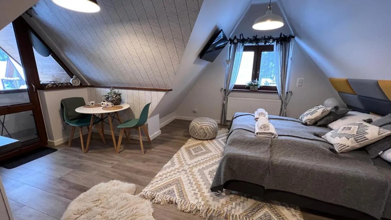 Vip Apartamenty Centrum Zakopane